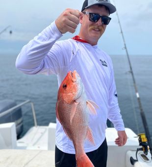 Catching snapper in Pensacola Bay