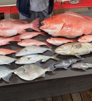 Savannah Fishing Charters: Book Now!