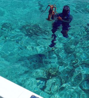 Exciting lobster catch in crystal-clear waters!