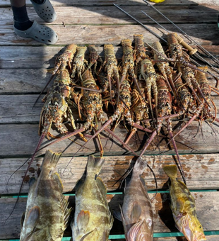 Catch of the day!