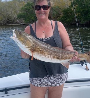 Fort Myers Fishing: Redfish Beauty from Below.