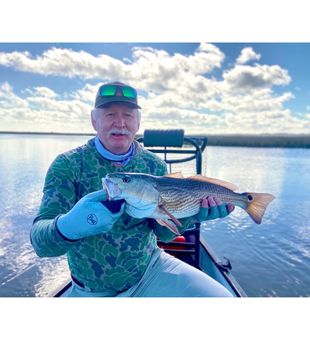 St. Augustine’s best catch! - Redfish