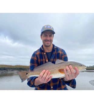 Tails up in the marsh! 