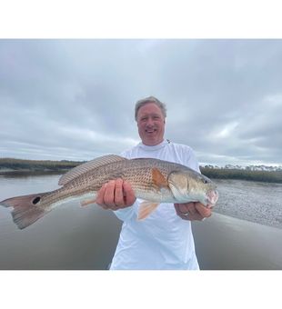 Redfish dreams come true! 