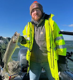 Lake Erie’s finest Walleye catch