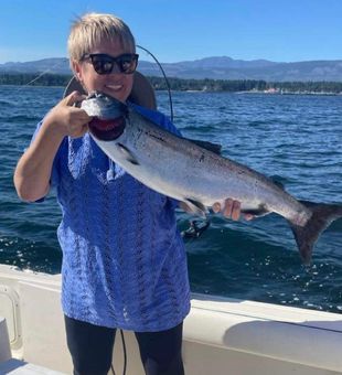 Salmon: the kings of the sea!