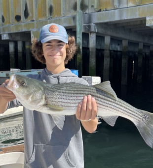 Fishing for Striped Bass in Gloucester MA!