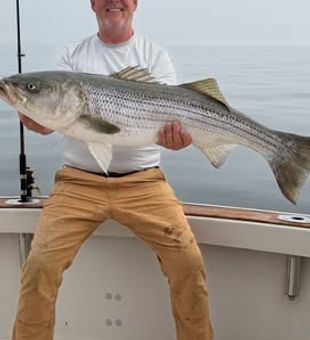 Chase giant bluefin tuna and other prized offshore species with a guided fishing charter in Gloucester, MA. Enjoy expert guidance, quality equipment, and productive fishing grounds.