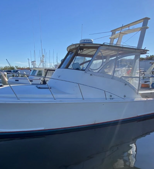 Navigating the Depths: Gloucester Fishing Trips