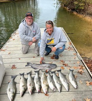 Charleston Harbor hookup