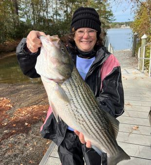 Topwater fun in Mt Pleasant
