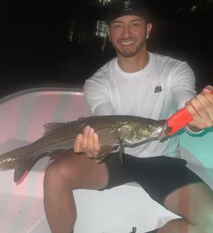Tampa Bay snook never disappoint anglers