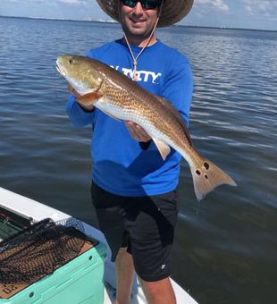Redfish from Tampa inshore trip