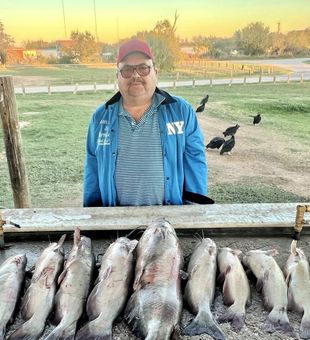 Catfish Day - Elmendorf, TX.