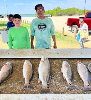 Solid redfish haul at the dock