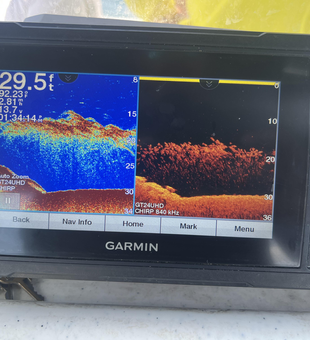 Sonar showing good structure and fish activity - perfect setup for jigging and trolling in these conditions.