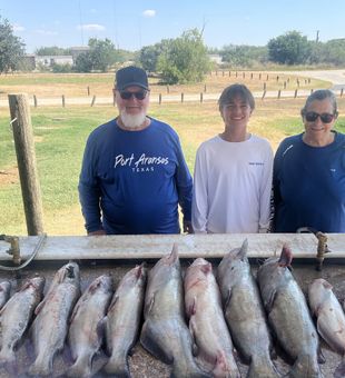 Fillets later - Elmendorf, TX.