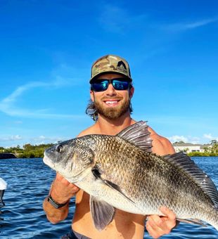 Looking good like this Black Drum