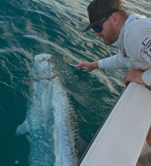 Key West Tarpon Fishing Excursion