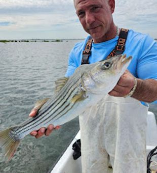 Striper Fishing