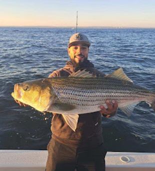 Striper Caught While Fishing Jamaica Bay