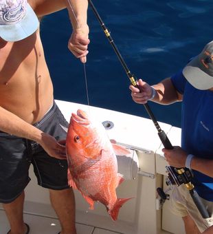 Hooked on adventure with Destin Fishing Charter.