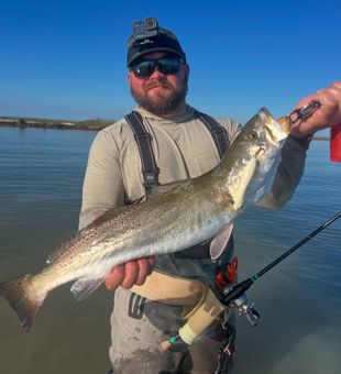 Rockport Texas trout fishing delivering solid keepers all afternoon.