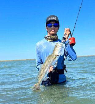 Trout Hooked While Wading the Flats