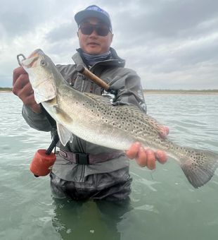 Hooked into speckled trout in Rockport TX—where every cast counts.