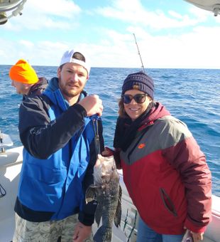 Black Sea Bass fishing in NC waters