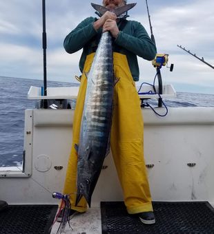 Wahoo Fishing in North Carolina