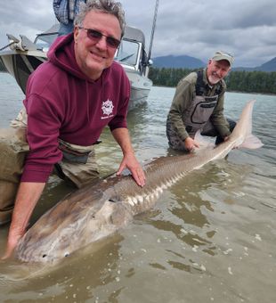Fraser River Sturgeon Fishing Bliss