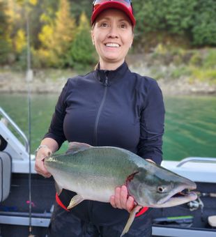 Exciting Salmon Fishing Adventures