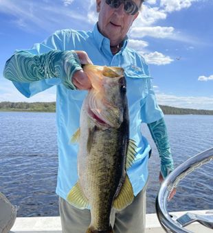 Consistent numbers and size on Winter Haven bass fishing trips.