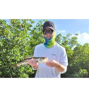 Snook Angling in South Florida!