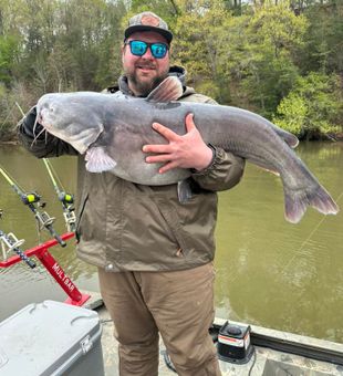 The Catfish of James River, truly beautiful.