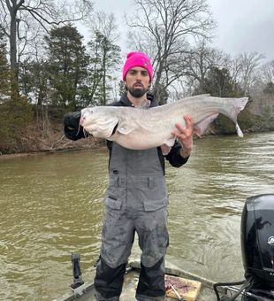 Trophy Catfish, caught and not a dream anymore