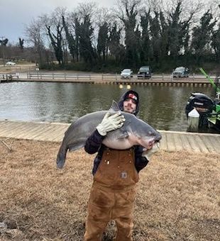 Big whiskers, bigger battles!