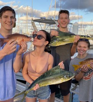 Playful mahi and snapper vibes! 🎉