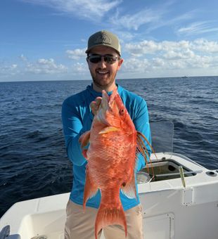 Bright vermilion snapper landed