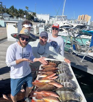 Bountiful Haul! - West Palm Beach,  FL.