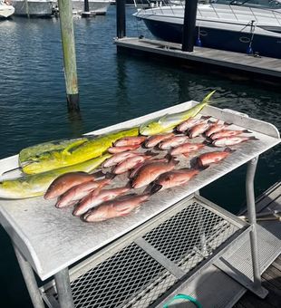 Head offshore from Riviera Beach, Florida, and chase trophy fish with an experienced captain who knows the area's most productive reefs, wrecks, and offshore grounds.