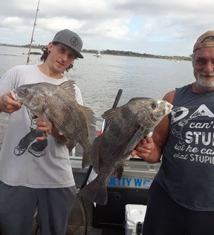 BLACK DRUM