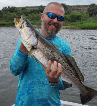 GATOR TROUT