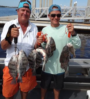 Scenic saltmarsh fishing adventure