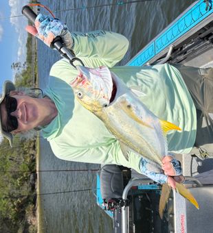 Jacksonville crevalle jack ready for the boat!