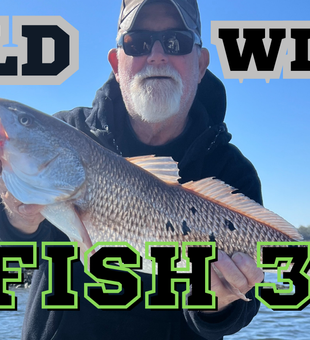 Jacksonville redfish proving why Florida fishing is legendary!