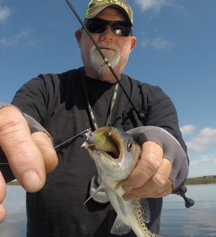 Jacksonville speckled trout hit the topwater perfectly!