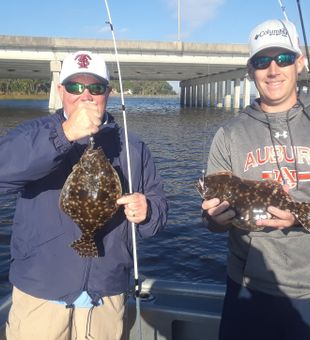 Coastal waters flounder in action