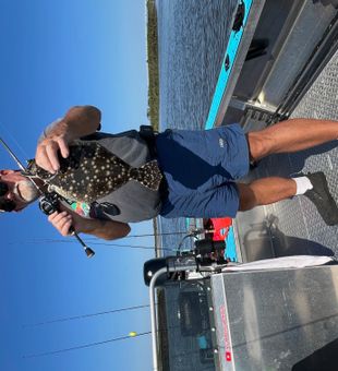 had to throw back a nice Flounder